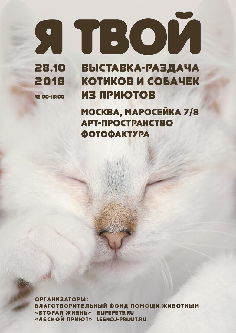приют для животных вторая жизнь в калужской области. Смотреть фото приют для животных вторая жизнь в калужской области. Смотреть картинку приют для животных вторая жизнь в калужской области. Картинка про приют для животных вторая жизнь в калужской области. Фото приют для животных вторая жизнь в калужской области
