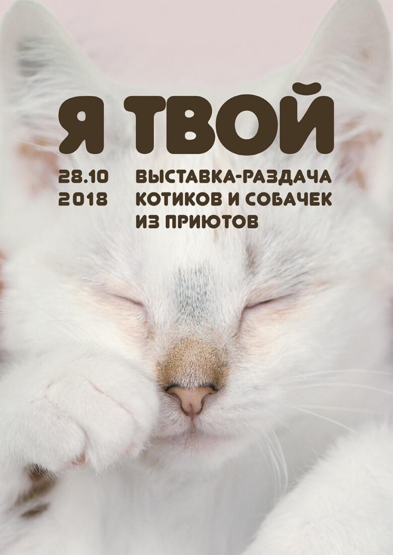 приют для животных вторая жизнь в калужской области. Смотреть фото приют для животных вторая жизнь в калужской области. Смотреть картинку приют для животных вторая жизнь в калужской области. Картинка про приют для животных вторая жизнь в калужской области. Фото приют для животных вторая жизнь в калужской области