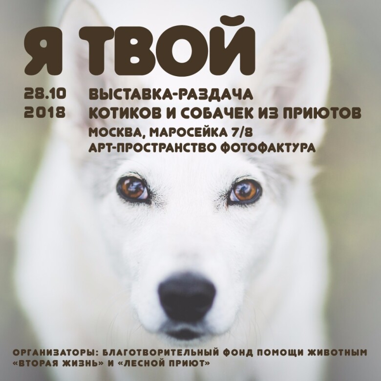 приют для животных вторая жизнь в калужской области. Смотреть фото приют для животных вторая жизнь в калужской области. Смотреть картинку приют для животных вторая жизнь в калужской области. Картинка про приют для животных вторая жизнь в калужской области. Фото приют для животных вторая жизнь в калужской области