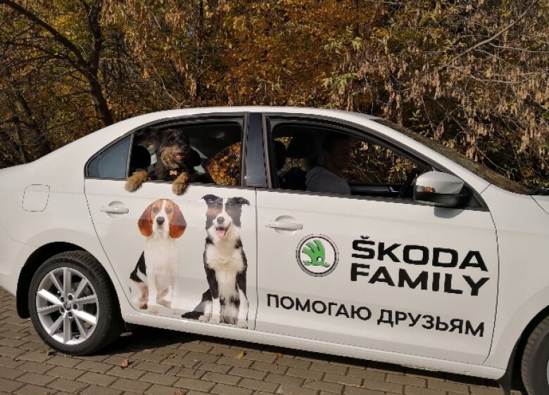 приют для животных вторая жизнь в калужской области. Смотреть фото приют для животных вторая жизнь в калужской области. Смотреть картинку приют для животных вторая жизнь в калужской области. Картинка про приют для животных вторая жизнь в калужской области. Фото приют для животных вторая жизнь в калужской области