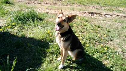 20170530_155620.jpg