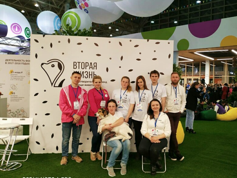 приют для животных вторая жизнь в калужской области. Смотреть фото приют для животных вторая жизнь в калужской области. Смотреть картинку приют для животных вторая жизнь в калужской области. Картинка про приют для животных вторая жизнь в калужской области. Фото приют для животных вторая жизнь в калужской области