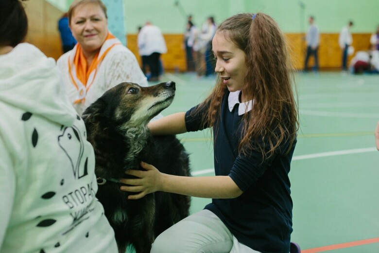 приют для животных вторая жизнь в калужской области. Смотреть фото приют для животных вторая жизнь в калужской области. Смотреть картинку приют для животных вторая жизнь в калужской области. Картинка про приют для животных вторая жизнь в калужской области. Фото приют для животных вторая жизнь в калужской области