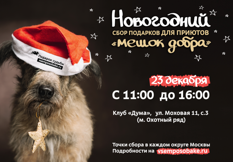 приют для животных вторая жизнь в калужской области. Смотреть фото приют для животных вторая жизнь в калужской области. Смотреть картинку приют для животных вторая жизнь в калужской области. Картинка про приют для животных вторая жизнь в калужской области. Фото приют для животных вторая жизнь в калужской области