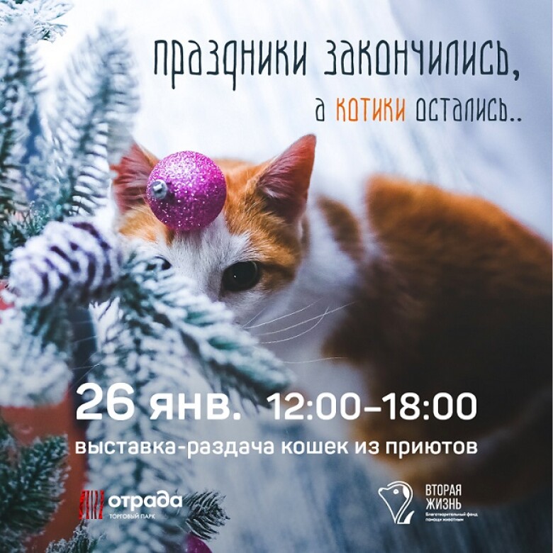 приют для животных вторая жизнь в калужской области. Смотреть фото приют для животных вторая жизнь в калужской области. Смотреть картинку приют для животных вторая жизнь в калужской области. Картинка про приют для животных вторая жизнь в калужской области. Фото приют для животных вторая жизнь в калужской области