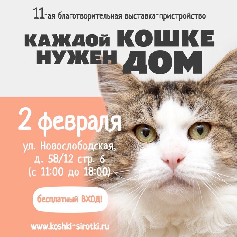 приют для животных вторая жизнь в калужской области. Смотреть фото приют для животных вторая жизнь в калужской области. Смотреть картинку приют для животных вторая жизнь в калужской области. Картинка про приют для животных вторая жизнь в калужской области. Фото приют для животных вторая жизнь в калужской области
