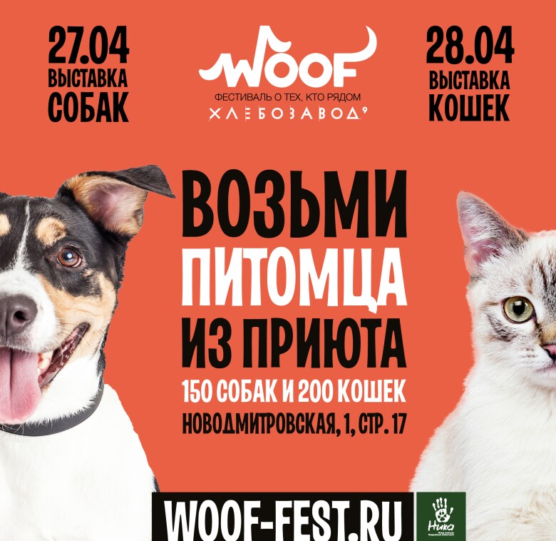 приют для животных вторая жизнь в калужской области. Смотреть фото приют для животных вторая жизнь в калужской области. Смотреть картинку приют для животных вторая жизнь в калужской области. Картинка про приют для животных вторая жизнь в калужской области. Фото приют для животных вторая жизнь в калужской области