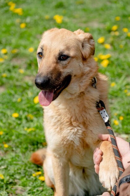 16.05.2020_%D0%B02lifepets-0402.jpg